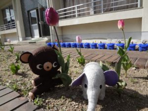 2WWQ3O6Y7OK6vykELt7D621JKoZUgTcCjue0Do5sUhir3DMpPfEhRX8QPeaFRScnul7aEdZvJC_8vRNNsKVuu0eEYwqLhdDCIlsfijKhz_20gJtq9yu3AaD0OxxbxP6r